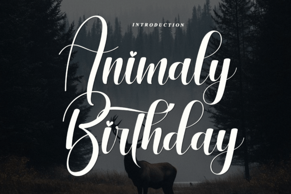 Animaly Birthday: A Script Font for Makers