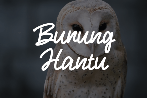 Burung Hantu: A Typeface That Captures Attention