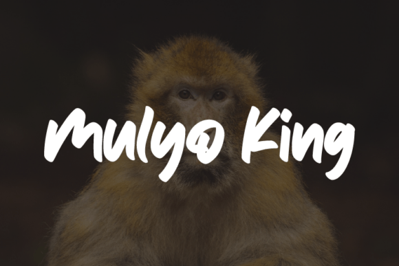 Mulyo King: A Bold Script Font for Web Headers